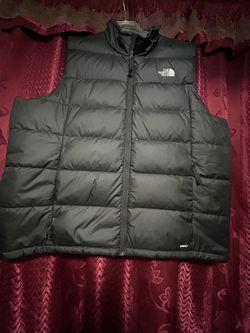 The North Face 550 Fill Puffer Vest For Men 
