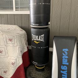 Everlast Bag  In Good Condition  Extra Bag. 