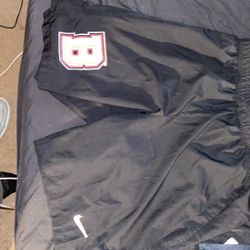Medium Dri Fit Nike Emboidered Shorts