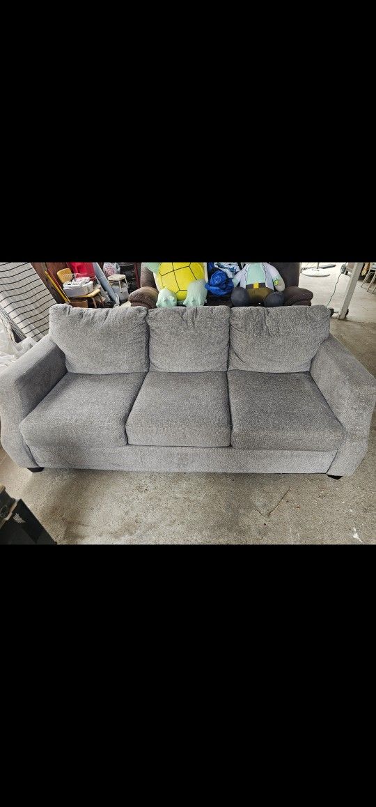 Gray Sofa $100
