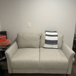 Loveseat / Small Couch / Sofa