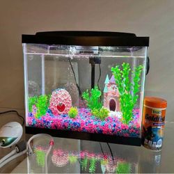 goal if Complete Fish Tank Kit – Explore a Magical Underwater World
