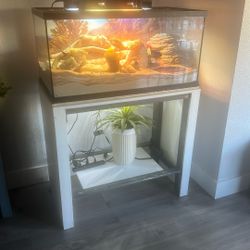 40 Gallon Tank 