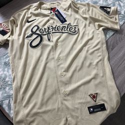 Nike Arizona Diamondbacks Jersey Baseball