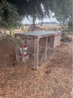 Chicken coop and feeders