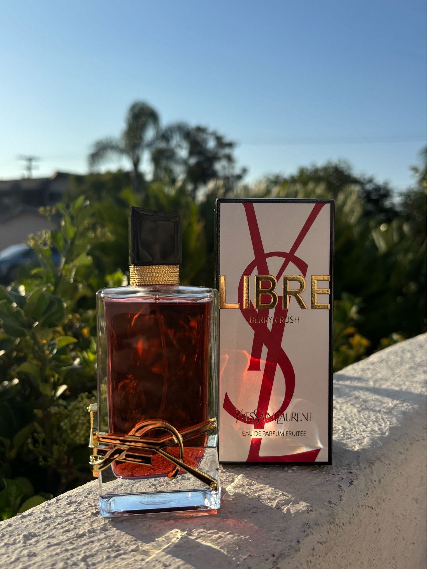 Ysl Berry Crush