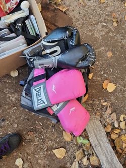 Everlast Boxing Gloves –