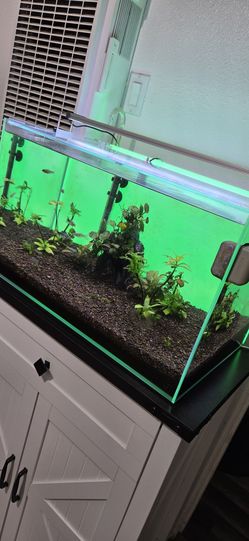 Fish tank