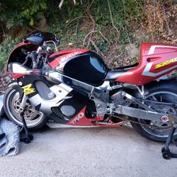 1998 Srad Suzuki 1000