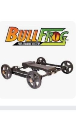 Bull frog