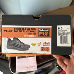 Timberland Pro Work Shoes 