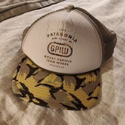 Patagonia Trucker Hat