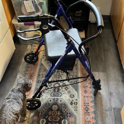 Lumex Sit Down Scooter 