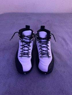 jordan 12 taxi Size 12