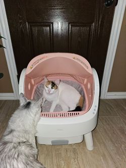 Automatic  litter box