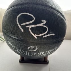 PAUL PIERCE SIGNED CELTICS WIZARDS NETS AUTOGRAPHED SPALDING BASKETBALL COA 879