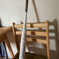 Bat