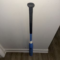 Utrip 26.5oz short Porch Blueberry 