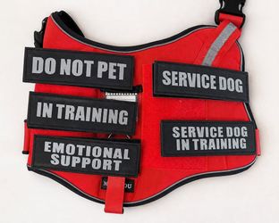 Service Dog Harness + 5 patches