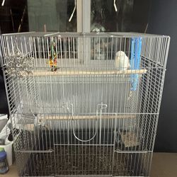 bird cage
