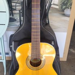 Acoustic Guitar 