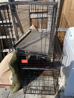 Dog Cages