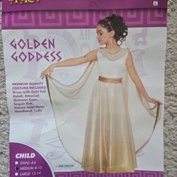 Beautiful Golden Goddess Dress Costume
