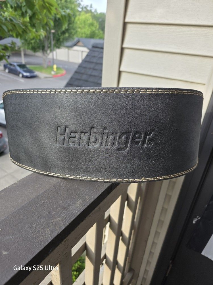 Weight Lifting Belt
