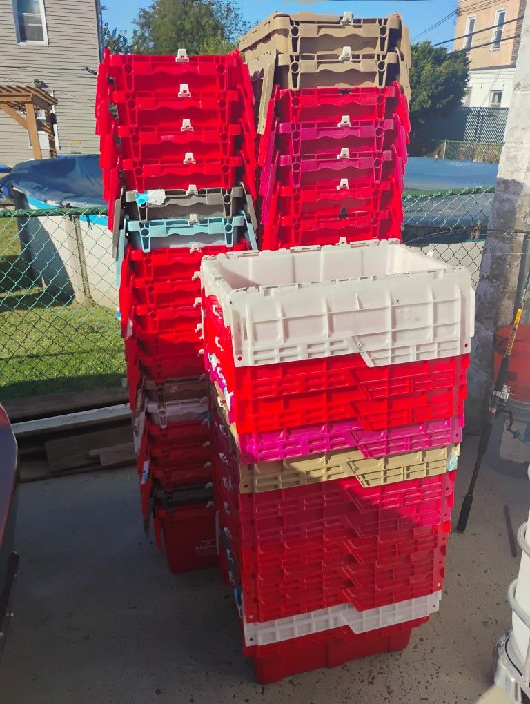 Storage Bin/Toe With Hinged Lids