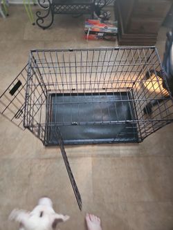 Medium Black Wire Dog Crate with Tray 30in