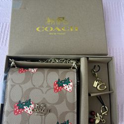 Strawberry 🍓 Wallet Bag 