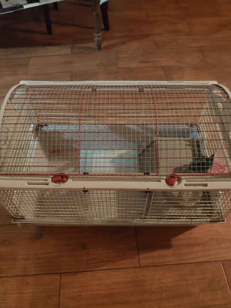 Small animal cage