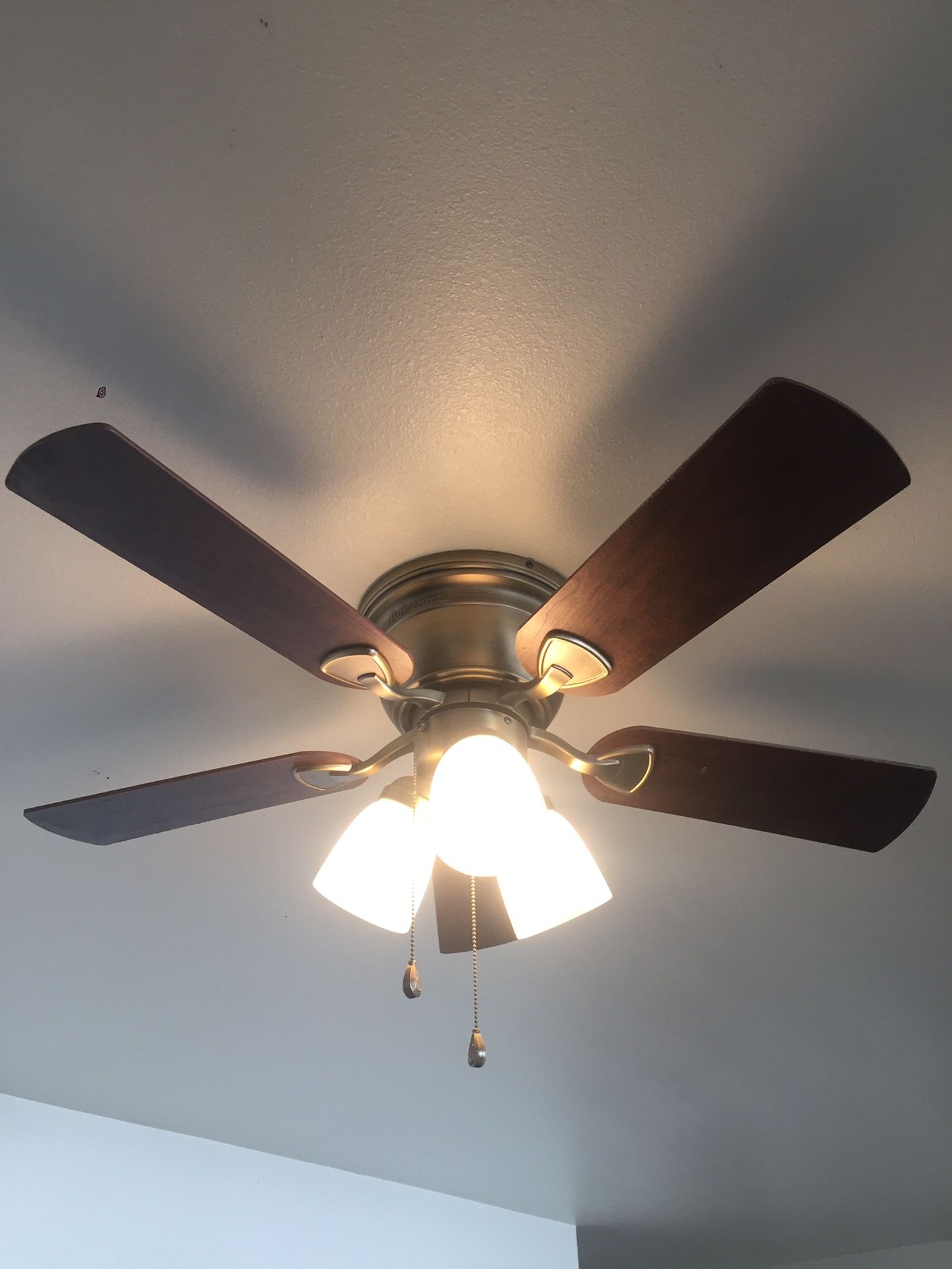 Ceiling fan Licensed electrician 