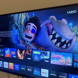 Vizio 43” Smart TV – Excellent Condition