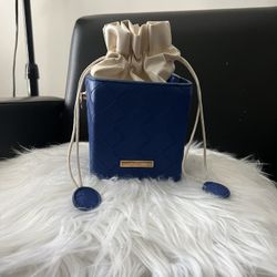 Blue Purse