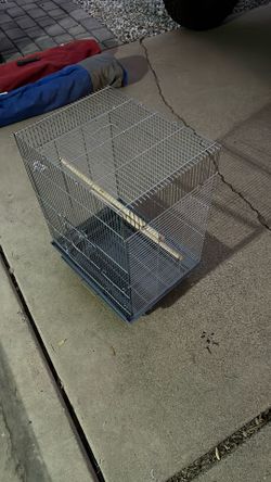 Bird Cage