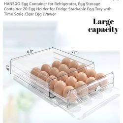 Egg storage Container 