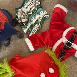 Dog costumes
