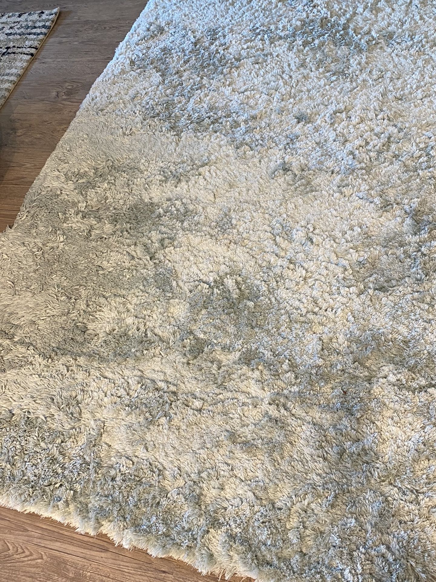 5 x 7 Shaggy Cyan Rug