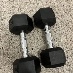 Two 20lb Dumbbells 