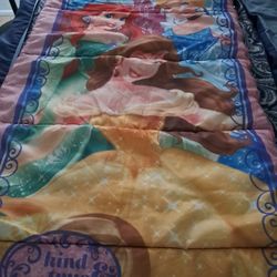 Disney Princess Sleeping Bag  54 L 27 W