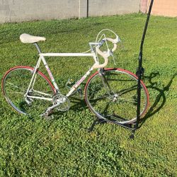 Bottechia Vintage Road Bike 