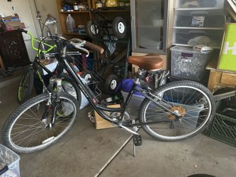 Specialized crossroads elite low entry sale