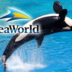 🌊 X11 SEAWORLD 🎟️ 🌊SAN DIEGO 🎢🎟️ 
