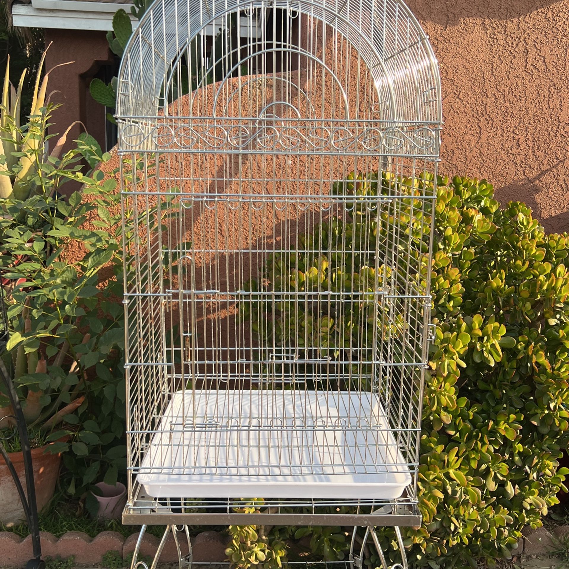 Bird Cage