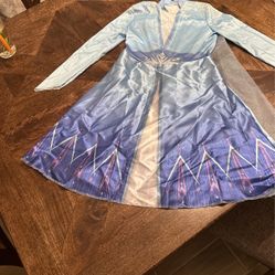 Halloween Costume, Princess Elsa (Frozen)