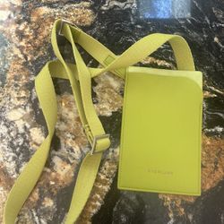 Small Leather Everlane Carrier
