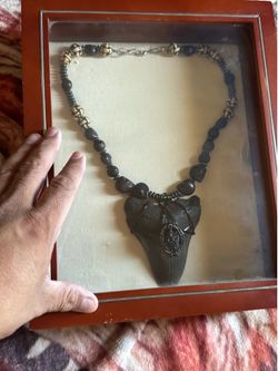 Real fossilized, shark tooth necklace