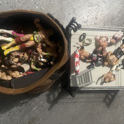 Wwe Wrestlers 