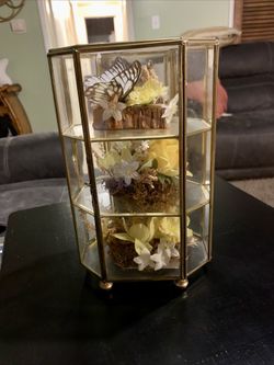 Vintage Butterfly Taxidermy Floral Glass Curio Cabinet 